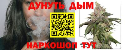 спиды Гагарин