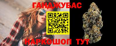 спиды Гагарин