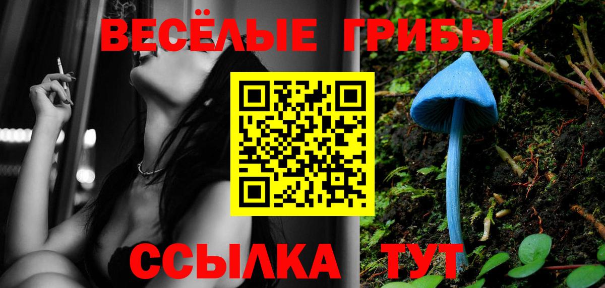 Псилоцибиновые грибы ЛСД Вятские Поляны