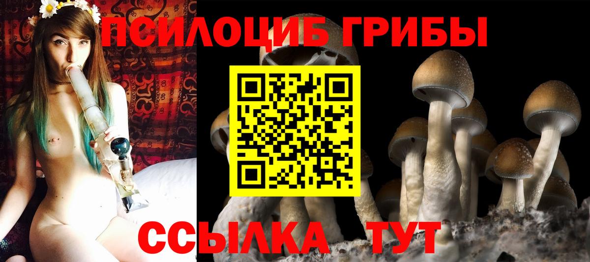 Псилоцибиновые грибы Magic Shrooms  Вход с VPN  Вятские Поляны  Псилоцибиновые грибы Psilocybe 